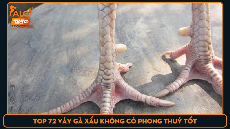 Top 72 vảy gà xấu